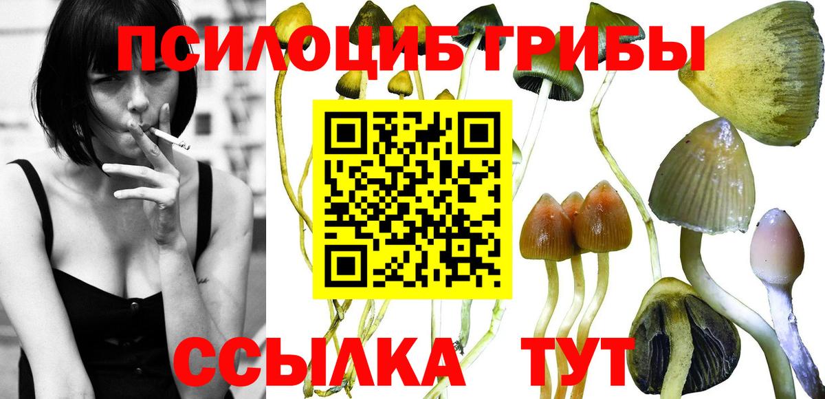 Галлюциногенные грибы прущие грибы Котовск