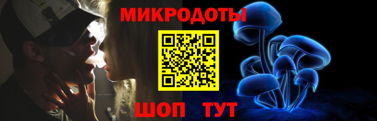  COCAIN Котовск